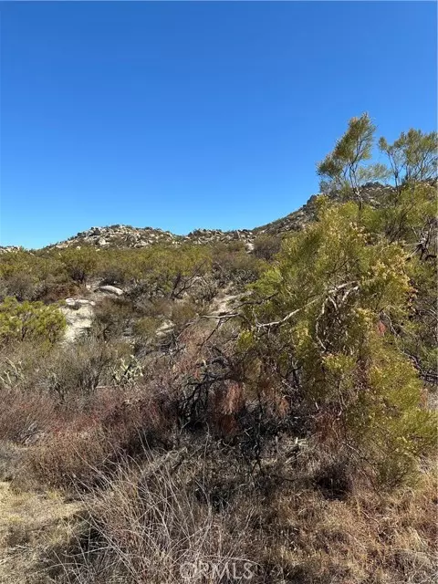 Aguanga, CA 92536,0 Ruben Drive