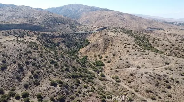 Palmdale, CA 93550,0 Vac Courson Ranch Rd
