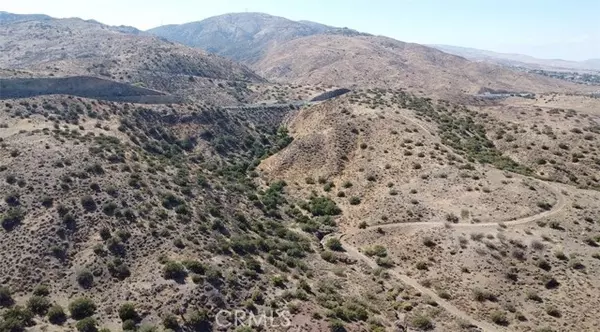 Palmdale, CA 93550,0 Vac Courson Ranch Rd