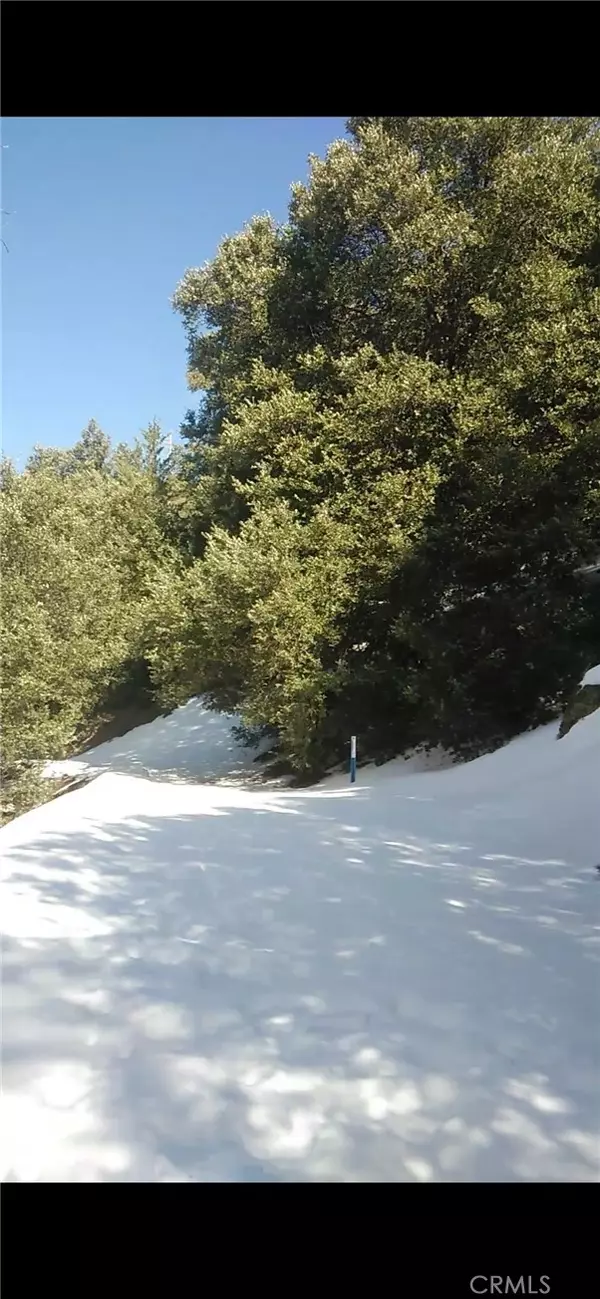 Crestline, CA 92325,0 Saxon