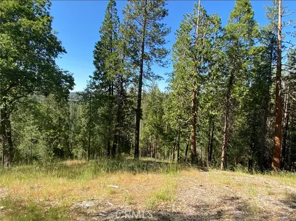 Groveland, CA 95321,0 Pine Mountain Drive