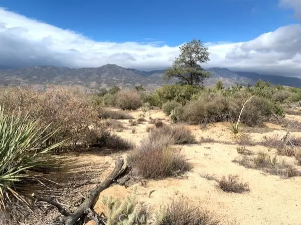 368 Palm Canyon Drive, Mountain Center, CA 92561