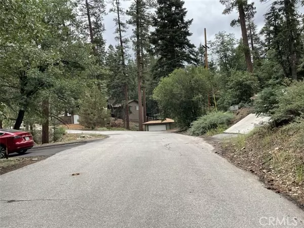 Big Bear Lake, CA 92315,43349 Deer Canyon Road