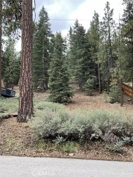 43349 Deer Canyon Road, Big Bear Lake, CA 92315