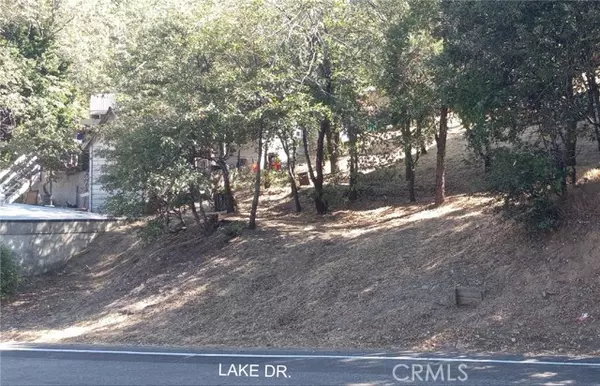 Crestline, CA 92325,0 Lake Drive