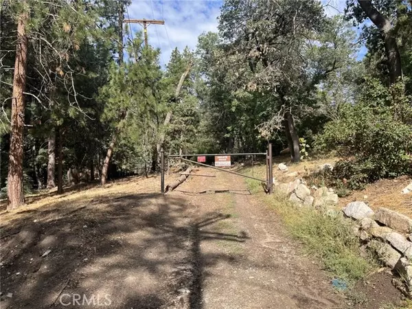 Arrowbear, CA 92314,0 Tulip Lane