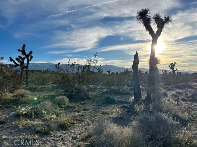 Pinon Hills, CA 92372,0 Buckwheat Road