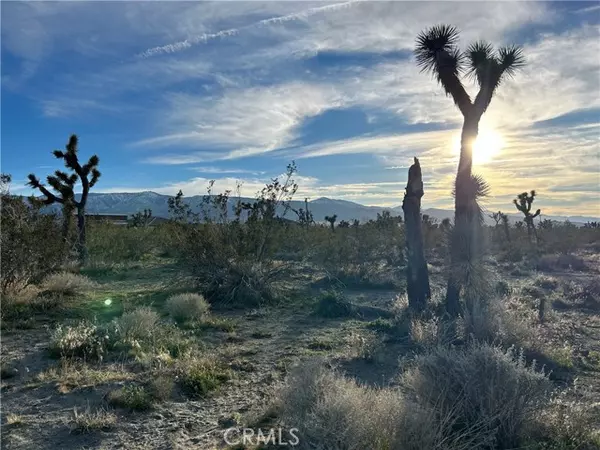 Pinon Hills, CA 92372,0 Buckwheat Road