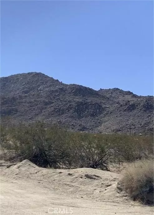 Joshua Tree, CA 92252,0 Rice AV& Terrace DR