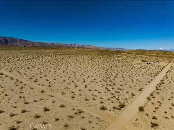 29 Palms, CA 92277,0 Fremontia