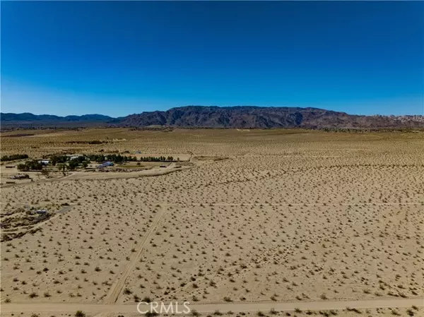 29 Palms, CA 92277,0 Fremontia