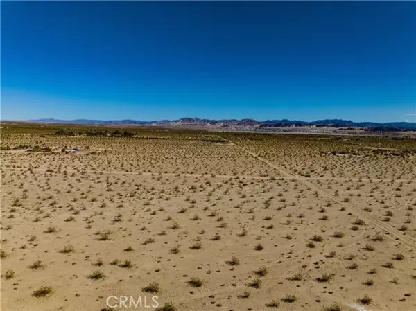 29 Palms, CA 92277,0 Fremontia