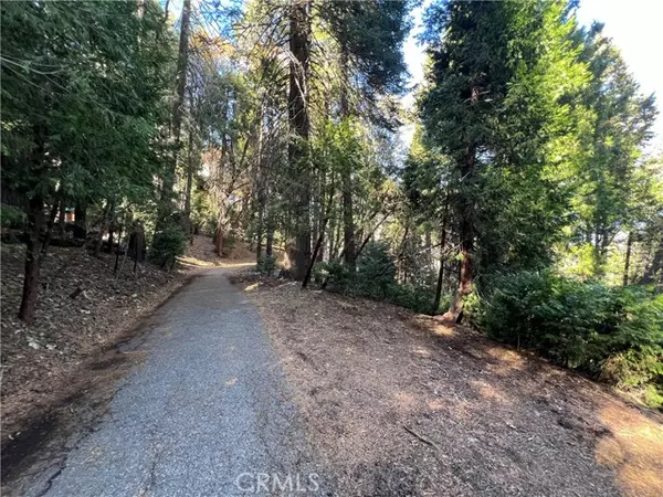 Crestline, CA 92325,24355 Albrun Drive