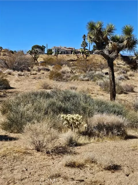Yucca Valley, CA 92284,0 Del Monte