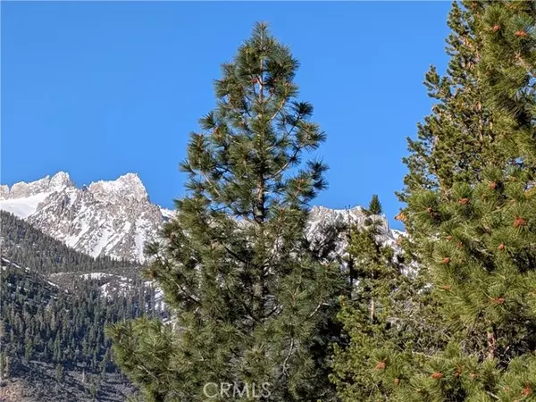 Bridgeport, CA 93517,31 Matterhorn Drive