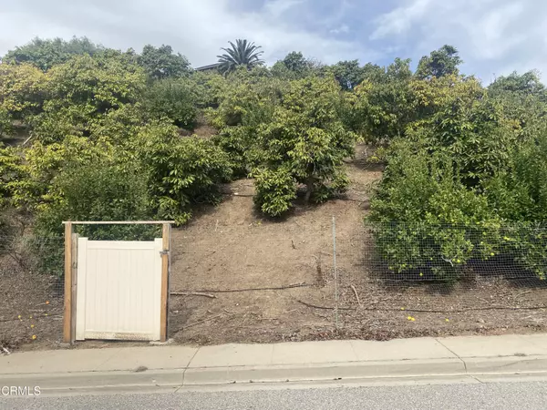 Santa Paula, CA 93060,233 East View Drive