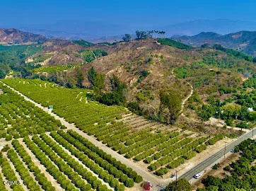 Santa Paula, CA 93060,0 Foothill Road