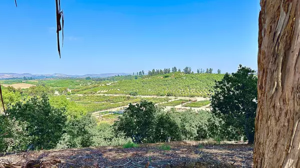 Moorpark, CA 93021,000 Manzanillo Drive