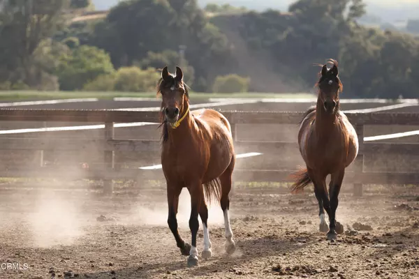 Los Olivos, CA 93441,3325 Figueroa Mountain Road