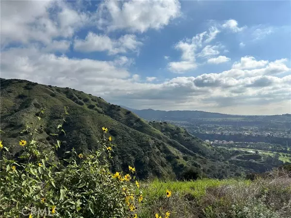 San Dimas, CA 91773,0 8678-030-029