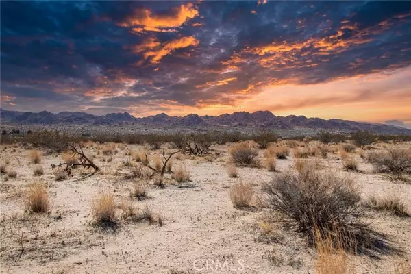 Joshua Tree, CA 92252,60713135 Terrace Drive