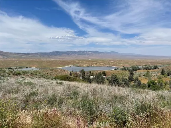 Gorman, CA 93536,0 Vac/1/4 Mi S Lanc Rd/1 1/2 Mi East