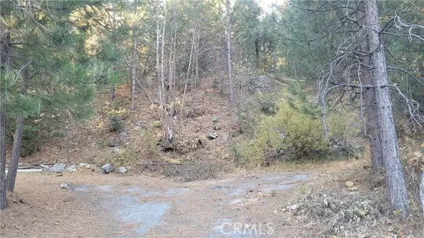 Crestline, CA 92325,0 Water Drive