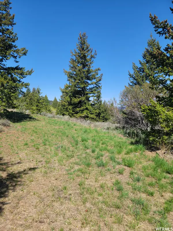 Bancroft, ID 83217,0 BARE GROUND