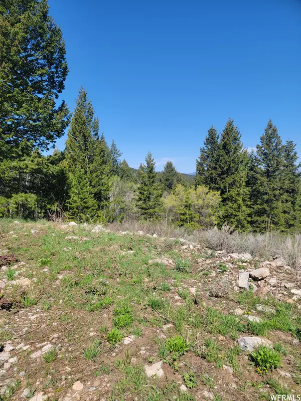 Bancroft, ID 83217,0 BARE GROUND