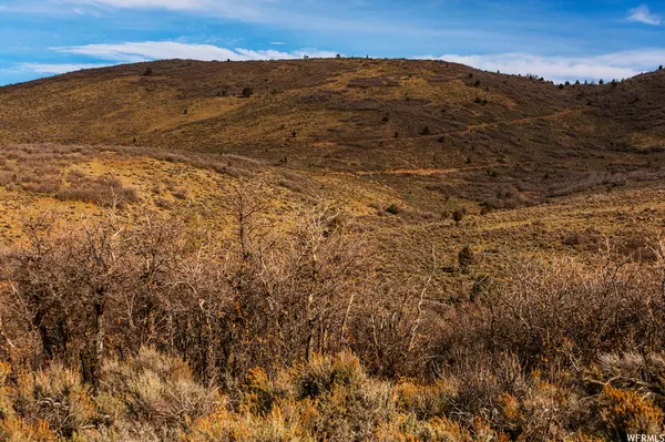 Francis, UT 84036,1181 BIG SKY TRL #39