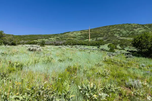 Midway, UT 84049,926 S UPLAND LOOP #20