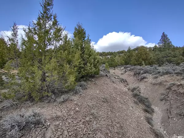Alton, UT 84710,#10