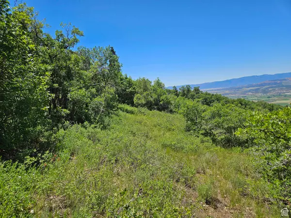 Fairview, UT 84629,646 E WOLF HOLLOW RD S #646