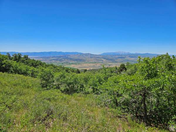 646 E WOLF HOLLOW RD S #646, Fairview, UT 84629