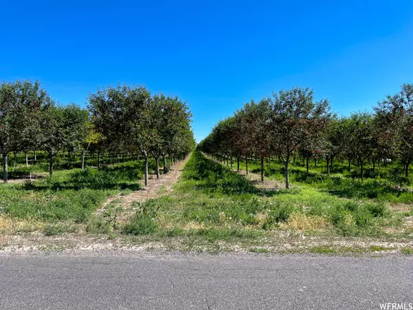 Genola, UT 84655,2151 N YORK LN #11