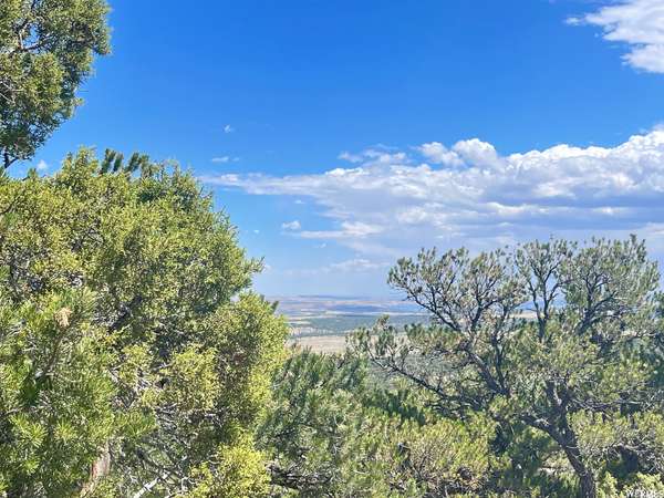 9 LOT 120 CEDAR MT. #120, Duchesne, UT 84021