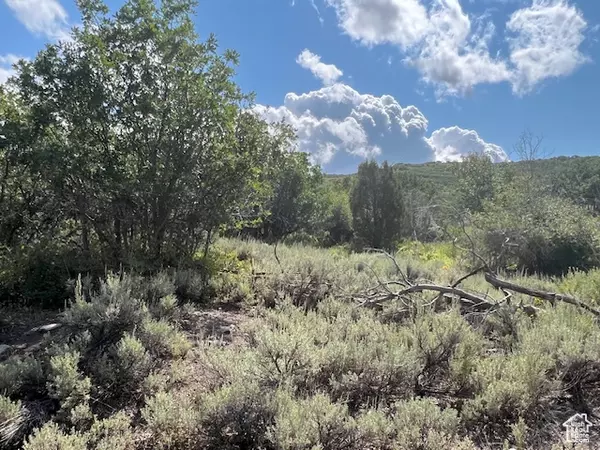 2325 WESTVIEW DR #1355, Heber City, UT 84032
