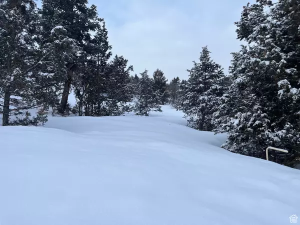Mt Pleasant, UT 84647,170 E WHISPERING PINES DR