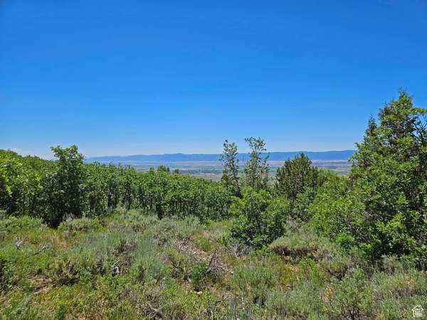 34 E ELK SPRINGS DR S #34, Fairview, UT 84629