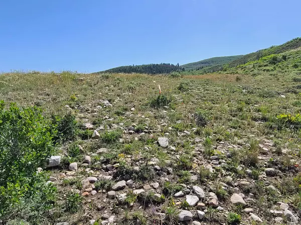 Indianola, UT 84629,93 W SPRING DR S #93