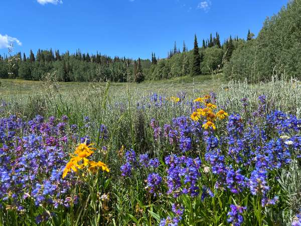 Fairview, UT 84629