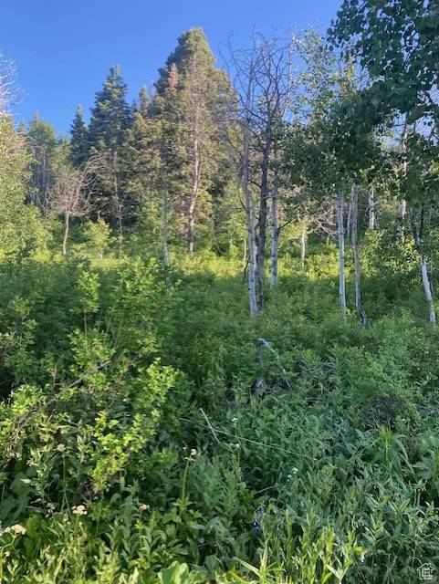 969 W DEEP FOREST RD #D155, Wanship, UT 84017