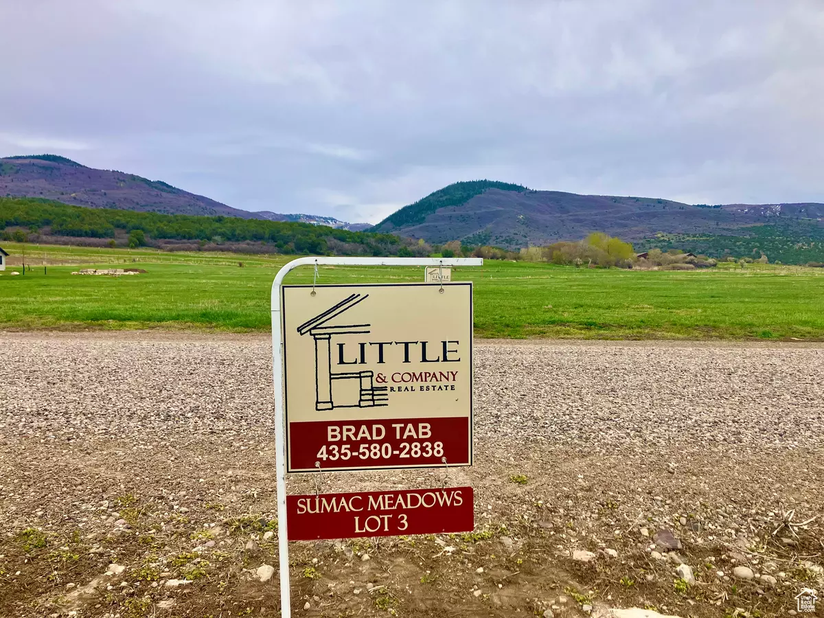 Fairview, UT 84629,25581 N 11440 E #3