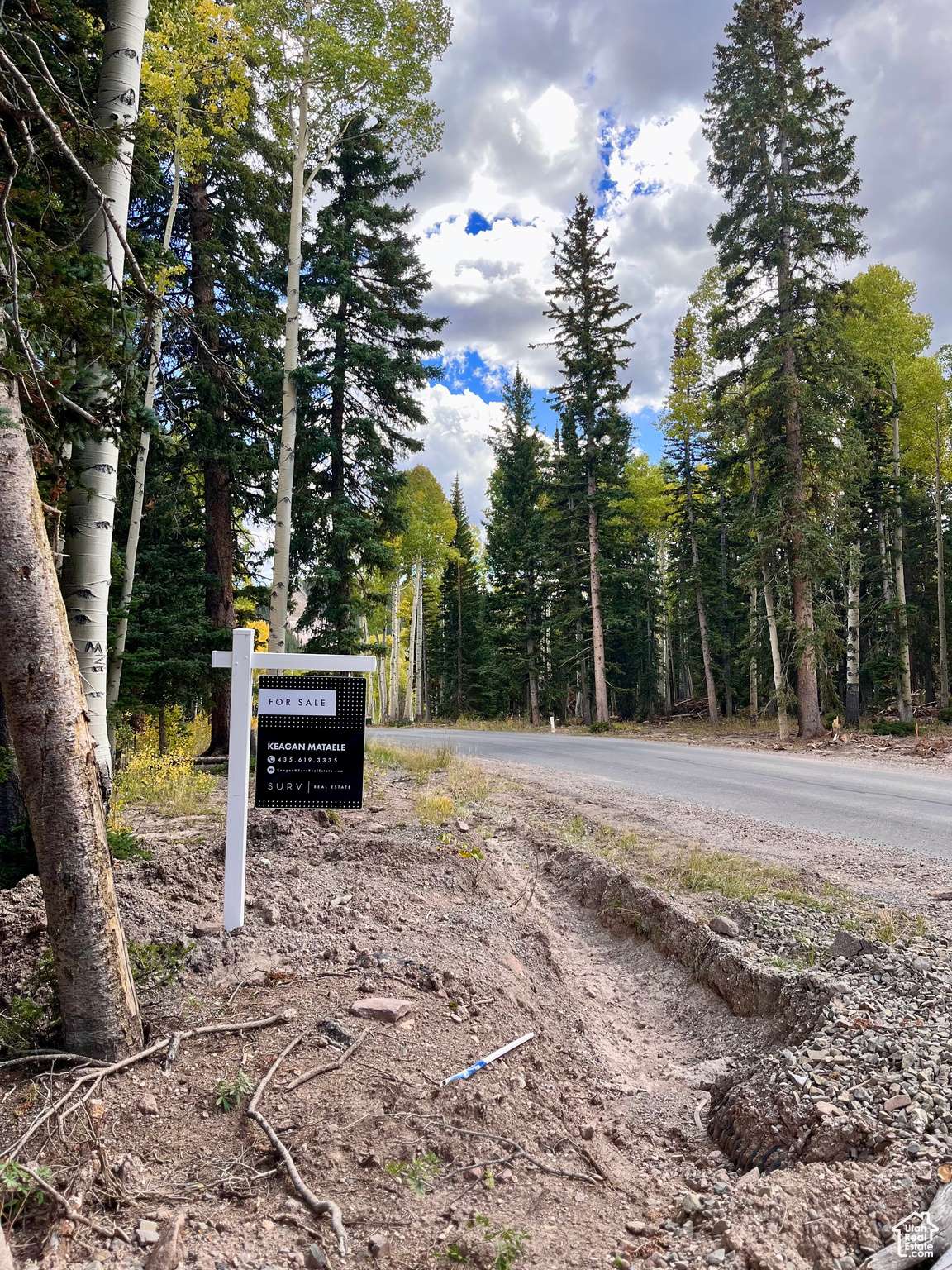 Beaver, UT 84713,N UPPER MEADOWS DR DR #13