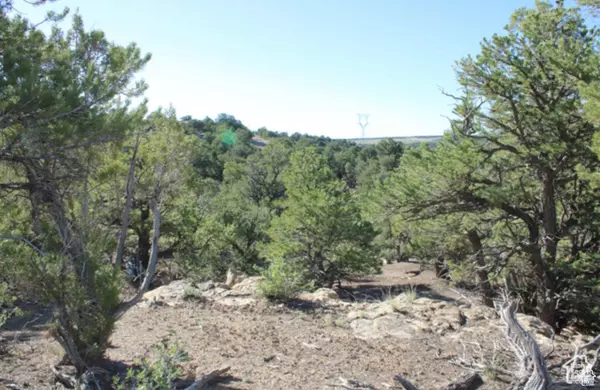 Fruitland, UT 84027,100 BURGESS BLVD
