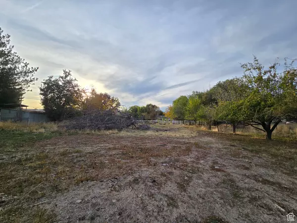 Pleasant Grove, UT 84062,563 E 500 N #3