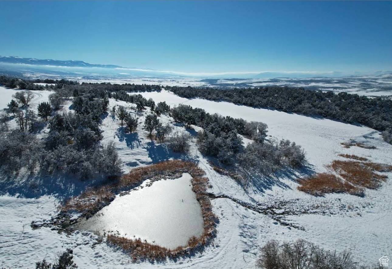900 N CLEMENTS LN, Fairview, UT 84629
