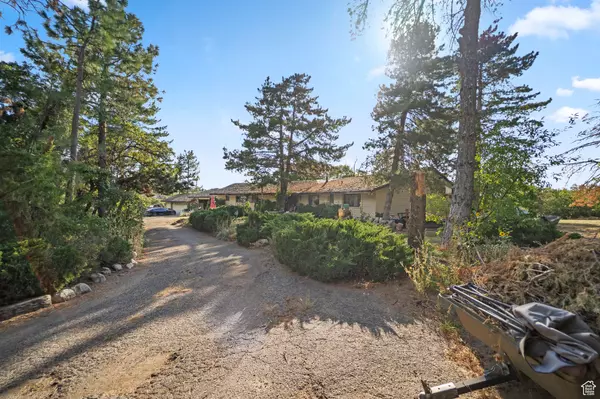 Sandy, UT 84092,10665 S DIMPLE DELL DR E
