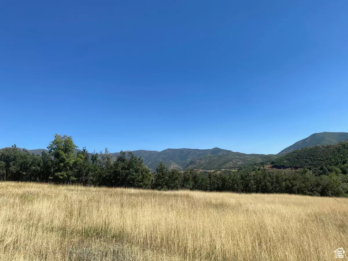 Springville, UT 84663,131 S MEADOW DR E #20