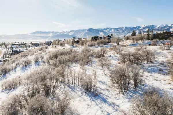 Park City, UT 84098,1146 SNOW BERRY ST #62